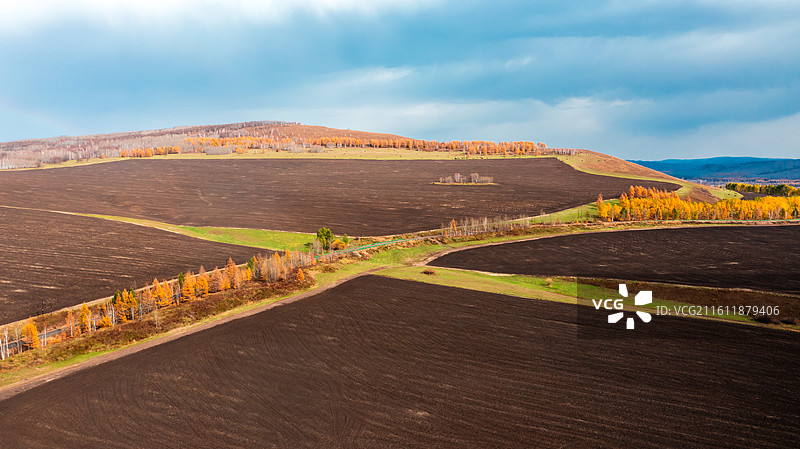 鹰栖彩林：石韦边陲的秋日凌空画卷图片素材