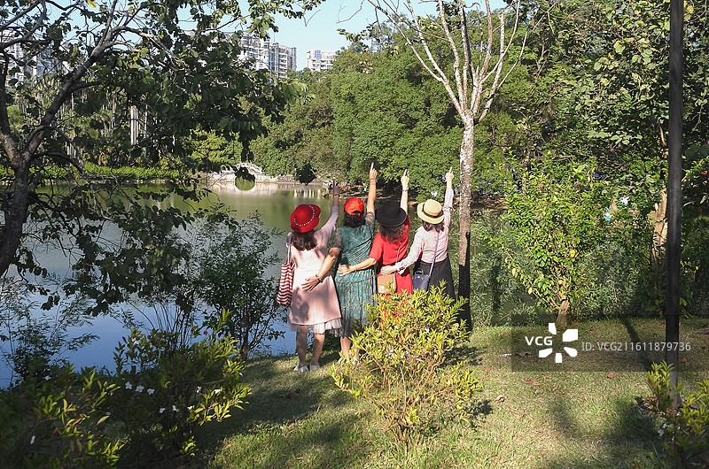 中国广东广州-中国科学院华南植物园-园林风景。徒步，散步，园林景色。奇花异草。图片素材