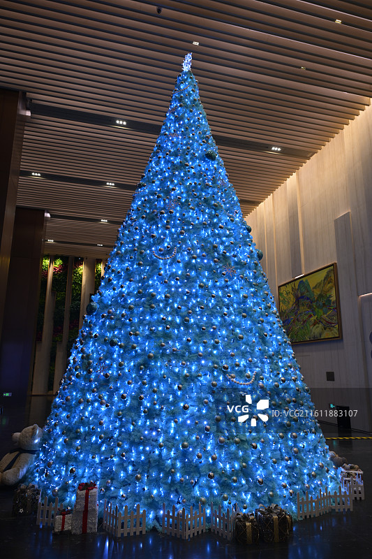 蓝色圣诞树图片素材