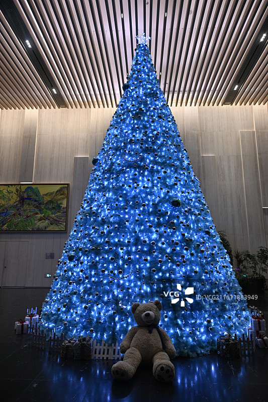 蓝色圣诞树图片素材