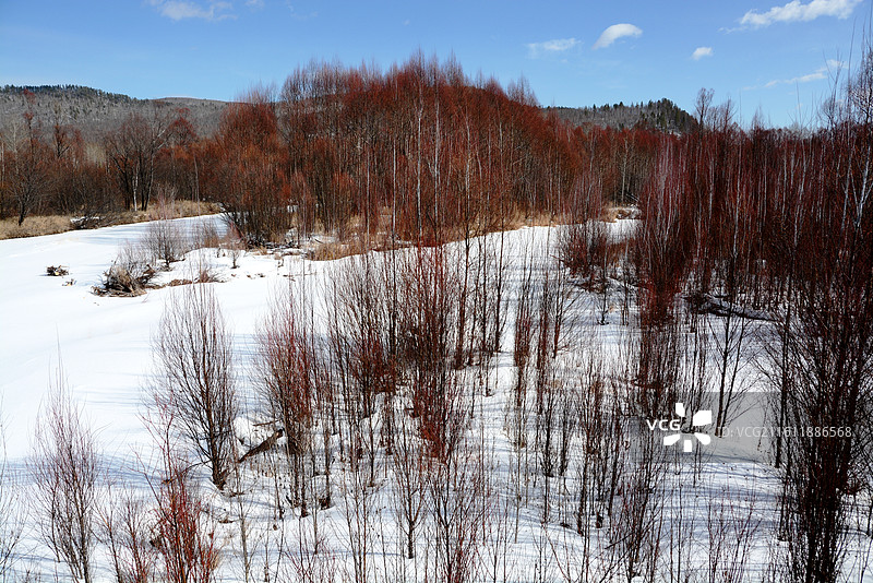 中国黑龙江大兴安岭加格达奇至漠河北极村沿途冰雪风光图片素材