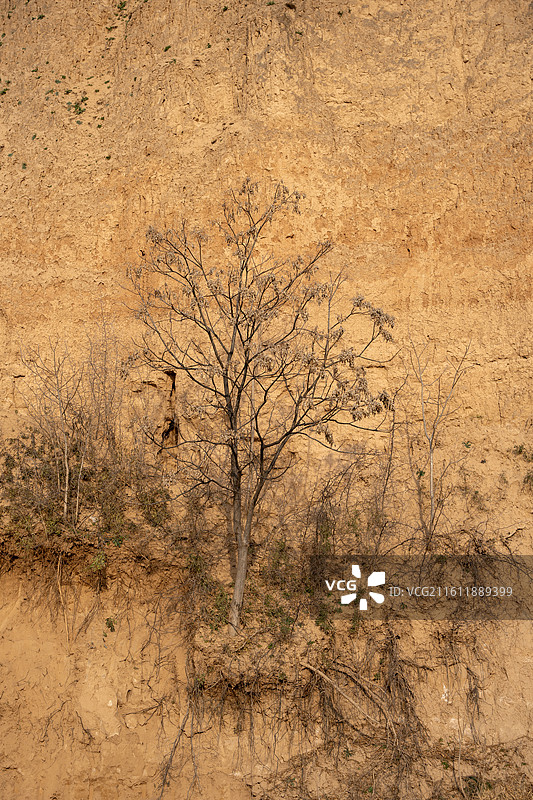 西安石川河阎良风景区黄土高原风貌图片素材