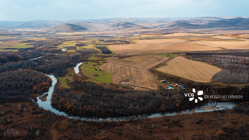 鹰栖彩林：石韦边陲的秋日凌空画卷图片素材