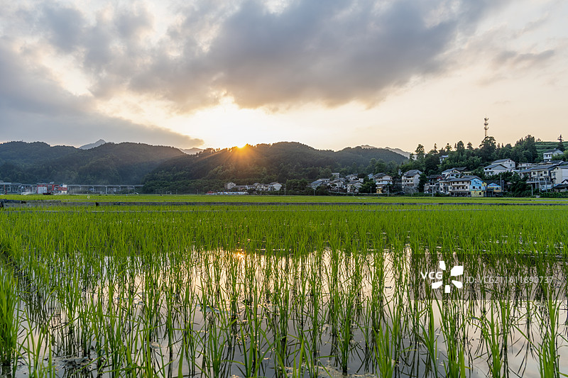 乡村稻田日落唯美光影图片素材