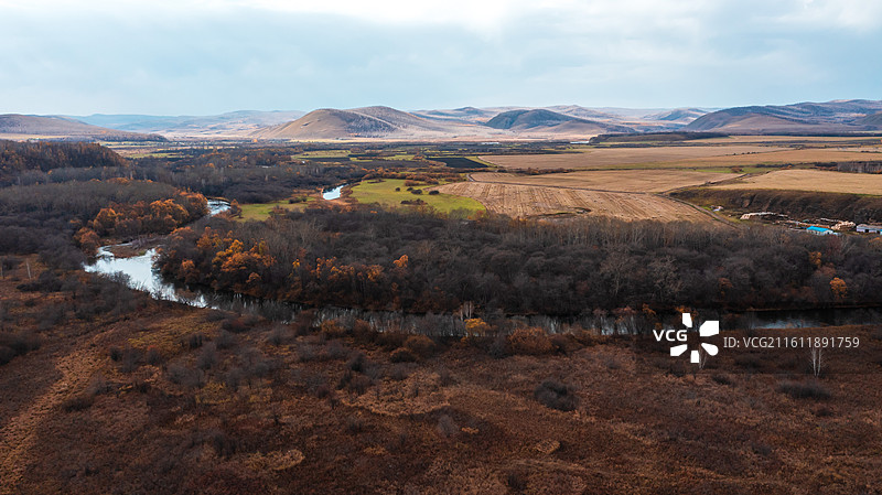 鹰栖彩林：石韦边陲的秋日凌空画卷图片素材