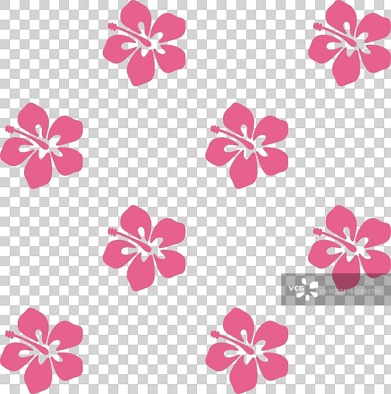 抽象花卉热带夏威夷棋盘格图片素材