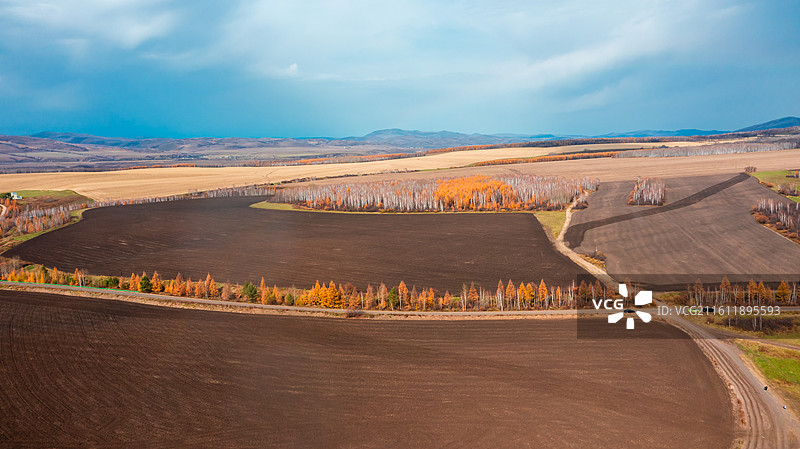 鹰栖彩林：石韦边陲的秋日凌空画卷图片素材
