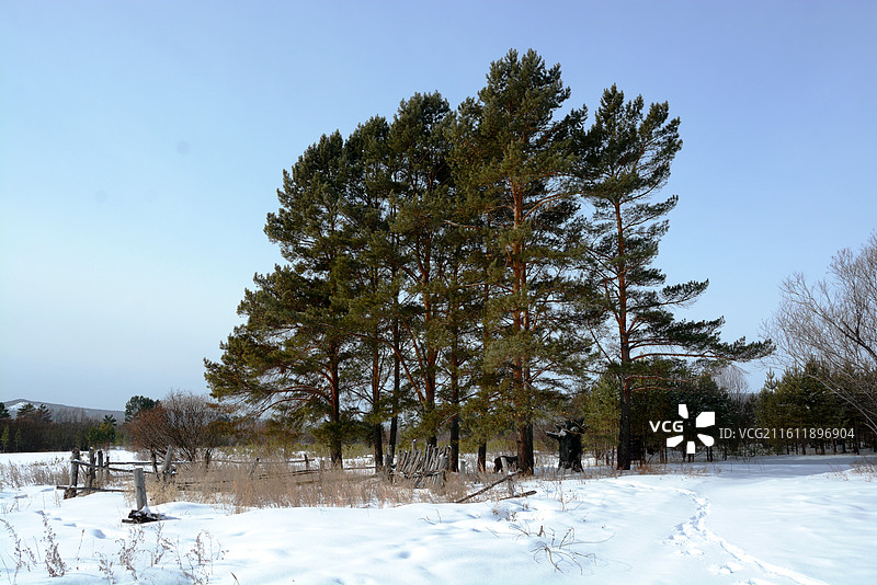 中国黑龙江大兴安岭加格达奇至漠河北极村沿途冰雪风光图片素材