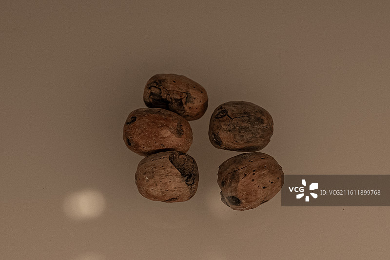 良渚文化 南酸枣种子 浙江省文物考古研究所图片素材