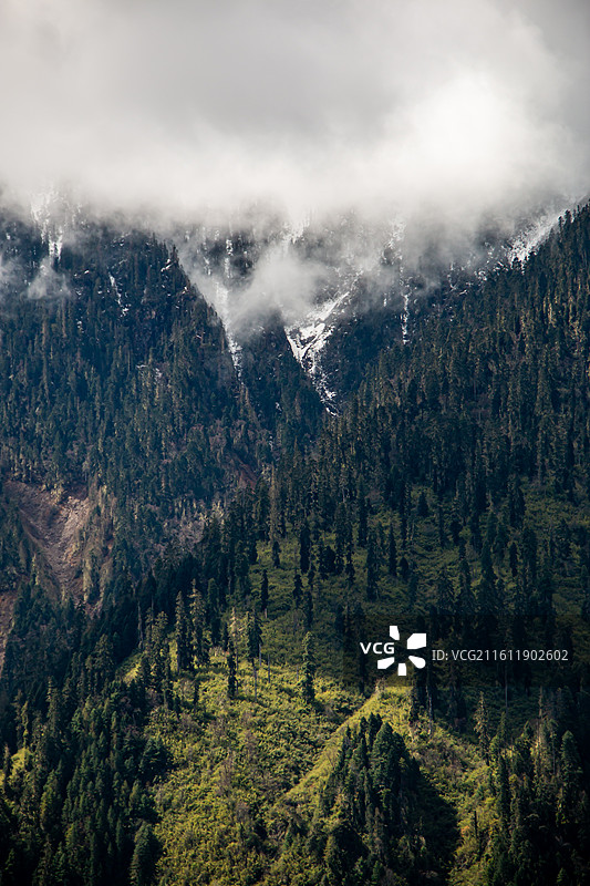 林芝一山有四季图片素材