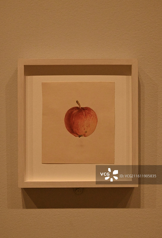 纽约现代艺术博物馆部分展品The Museum of Modern Art图片素材
