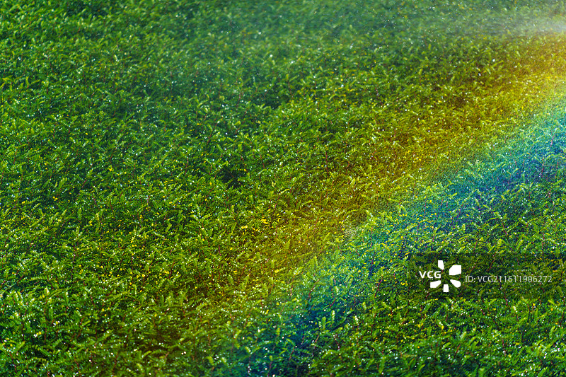 喷淋形成的彩虹图片素材