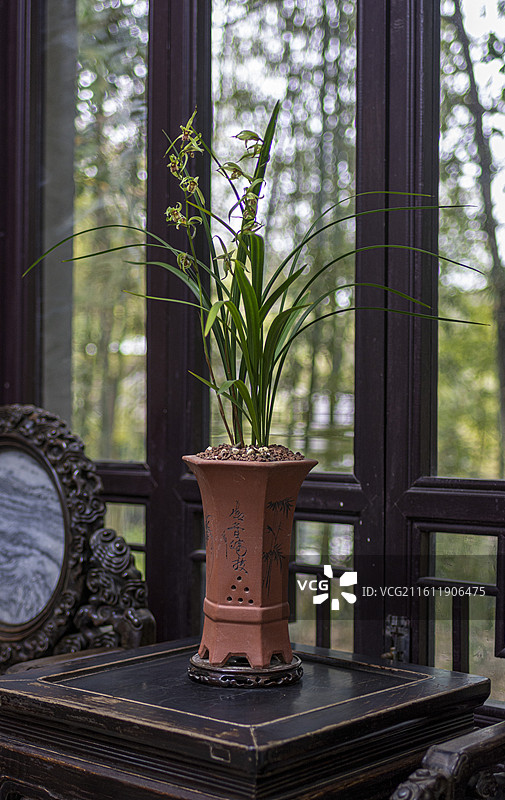 江南兰苑图片素材