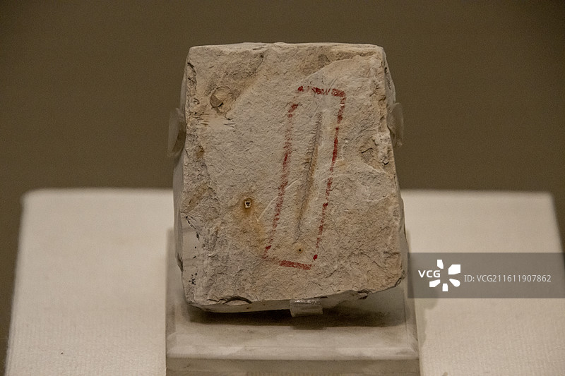 天津自然博物馆“家园·生命展区”：剑形三角笔石（奥陶纪早期，浙江江山产）图片素材