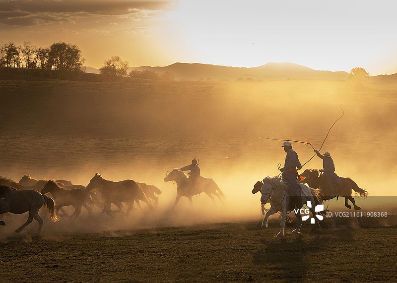 原驰骏影图片素材