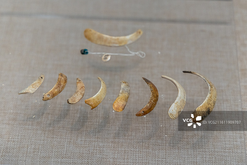 酒泉市博物馆 四坝文化 牙饰 1987年酒泉肃州区干骨崖遗址出土图片素材