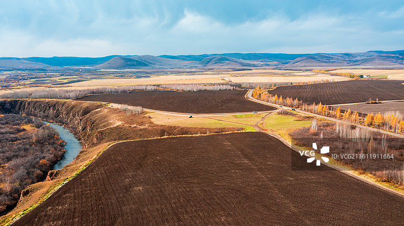 鹰栖彩林：石韦边陲的秋日凌空画卷图片素材