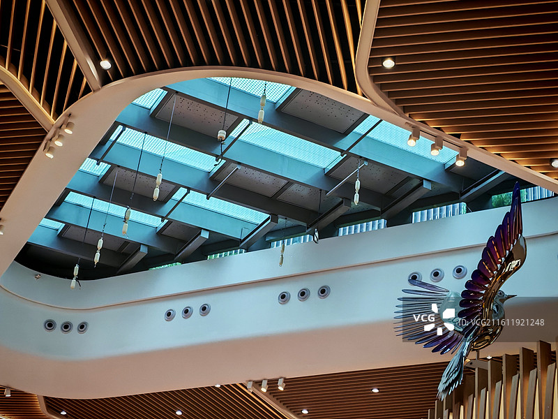 穹顶栖彩翎 暖木弧边裹着玻璃顶，彩鸟悬在天光里，垂灯摇出建筑的轻，是空间把自然的灵揉进了头顶的轮廊。图片素材