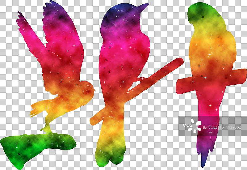 多彩水彩飞鸟剪影图片素材