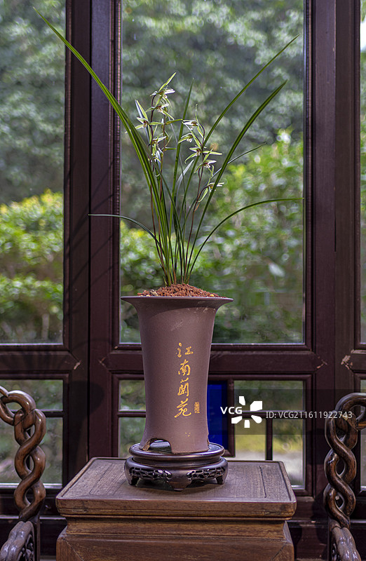 江南兰苑图片素材