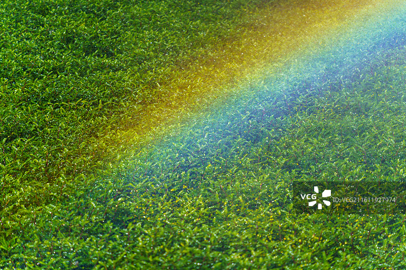 喷淋形成的彩虹图片素材