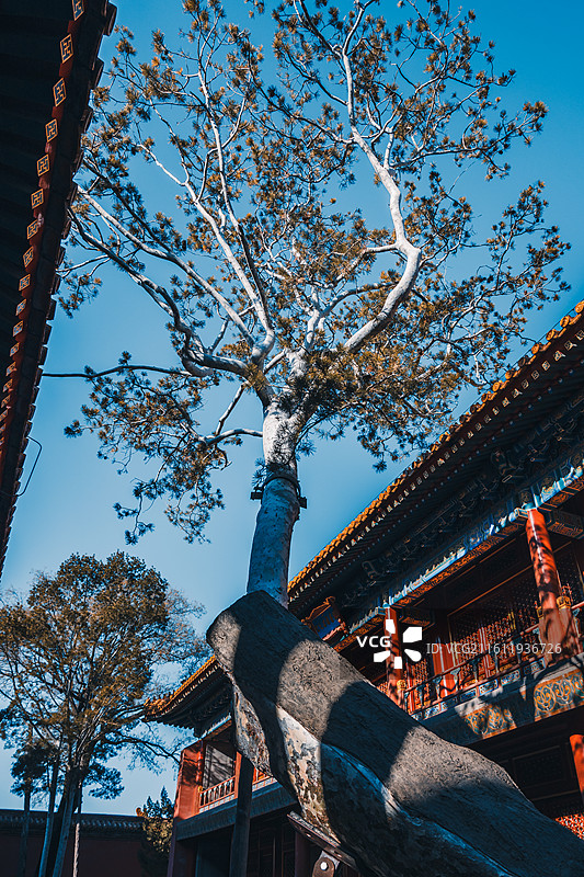 宫殿著名旅游景点图片素材