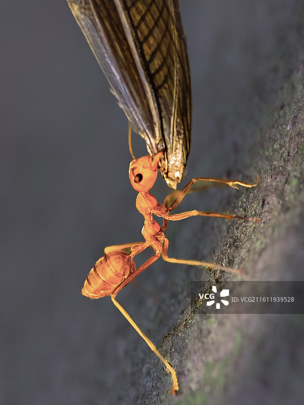 向上的力量图片素材