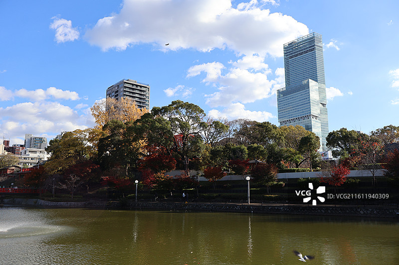 从天王寺公园里远望大阪阿倍野大厦图片素材