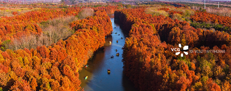 航拍红杉林湿地秋色图片素材