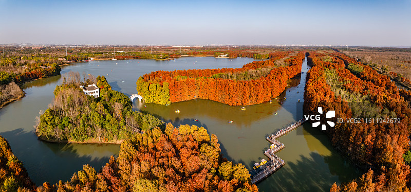 航拍红杉林湿地秋色图片素材