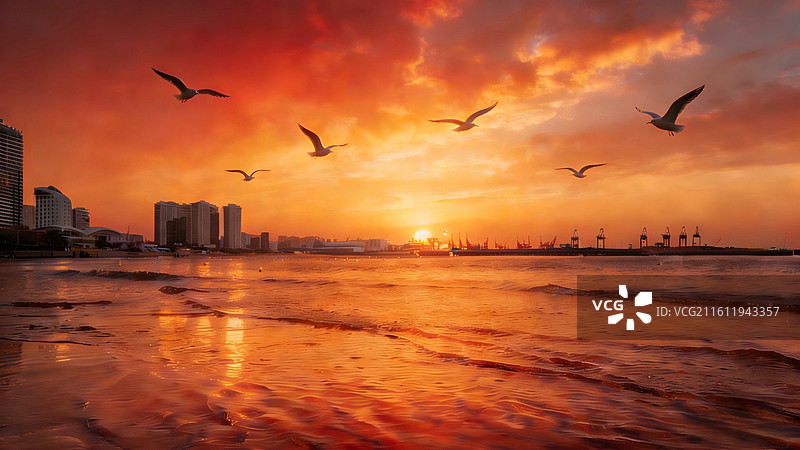 落日熔金映秦皇岛｜海滨港口的黄昏治愈系风光图片素材