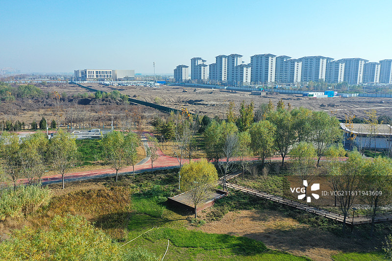 碧水连天映霞光，野鸭掠舞芦花黄 俯身临岸观舟远，银杏红叶风里扬  千岛万湖织洋淀，生态画卷韵悠长图片素材