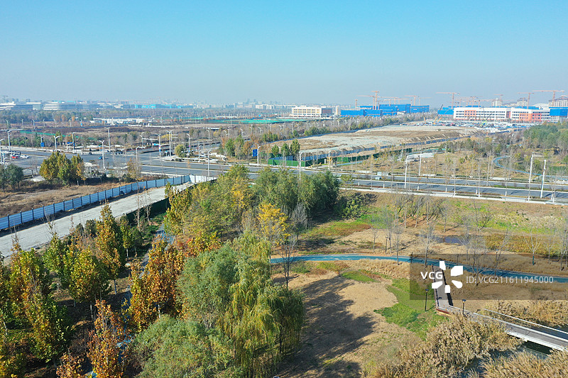 碧水连天映霞光，野鸭掠舞芦花黄 俯身临岸观舟远，银杏红叶风里扬  千岛万湖织洋淀，生态画卷韵悠长图片素材