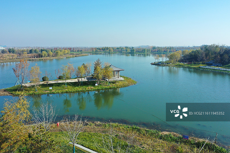 碧水连天映霞光，野鸭掠舞芦花黄 俯身临岸观舟远，银杏红叶风里扬  千岛万湖织洋淀，生态画卷韵悠长图片素材