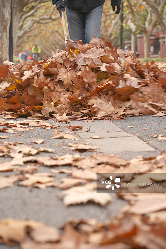 上海徐汇区新华路梧桐树老洋房秋冬落叶街景图片素材
