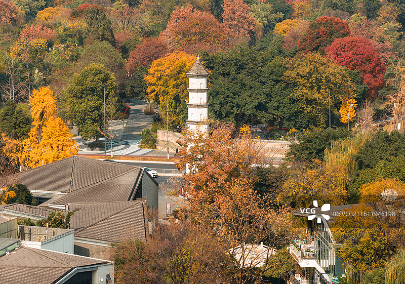 中国四川成都铁像寺水街回澜塔冬季航拍图图片素材