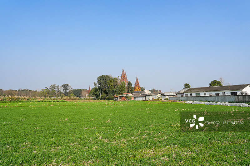 中国四川成都郫都区战旗村田园风光图片素材