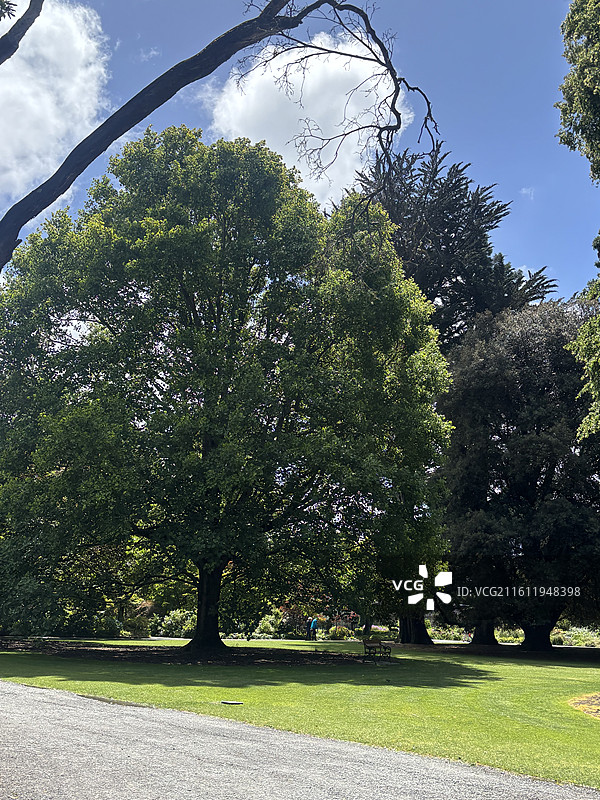 基督城植物园和雅芳河图片素材