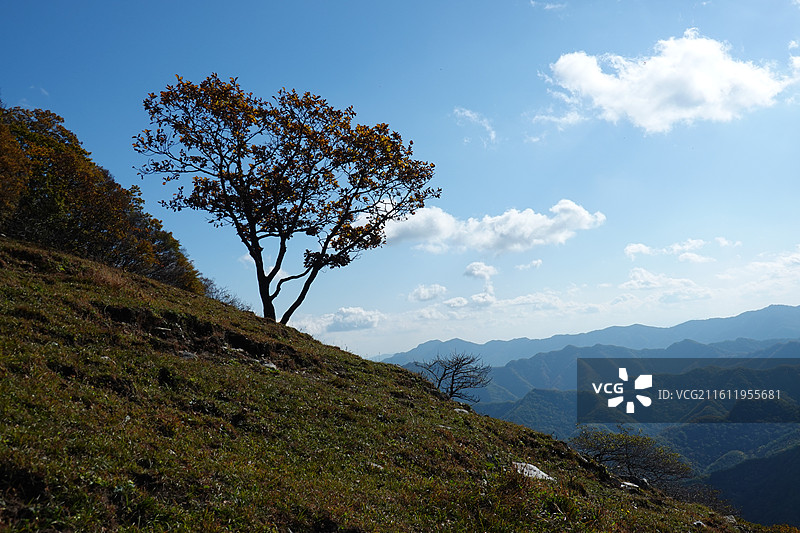 辽宁省本溪市本溪县草河掌镇苑家堡子村老平坨景区：高山草甸苔原地貌图片素材