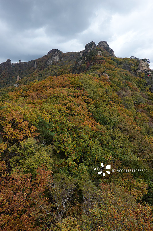 辽宁省丹东市宽甸县天桥沟景区：莲花峰顶远眺红叶彩林红枫枫叶五花山秋景图片素材