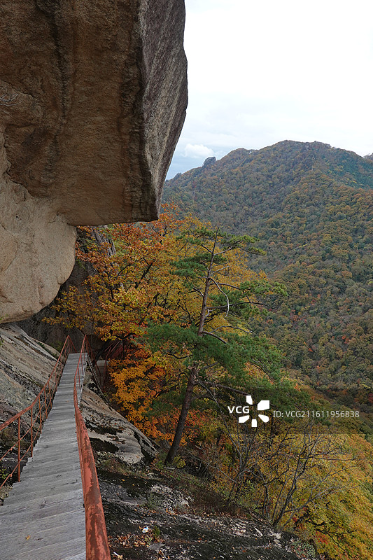 辽宁省丹东市宽甸县天桥沟景区：莲花峰红叶彩林红枫枫叶五花山秋景图片素材