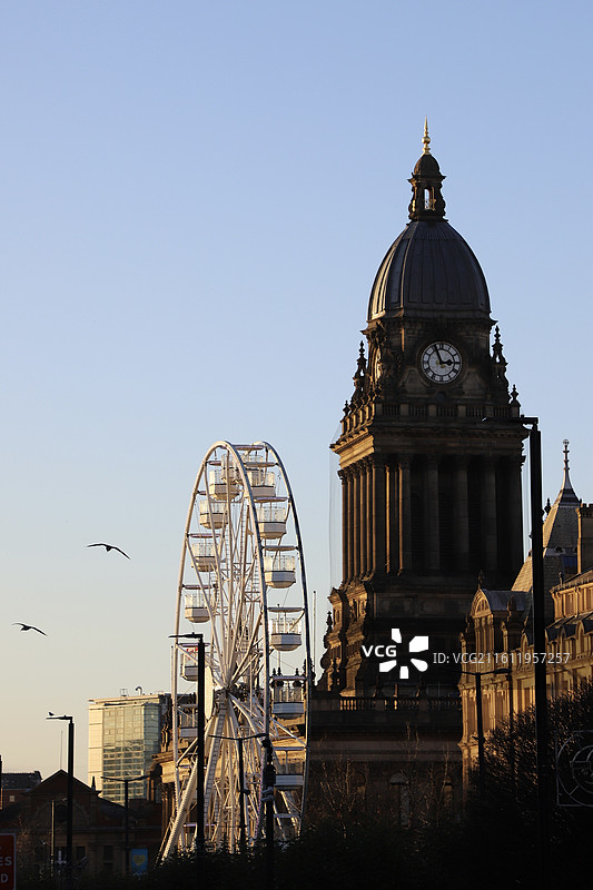 英国利兹 市政厅 摩天轮 冬日街头风景图片素材