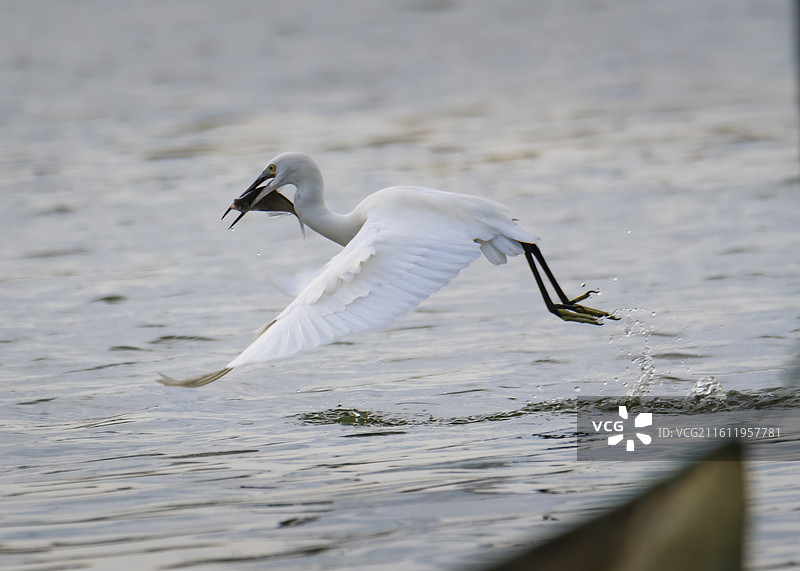 收获之旅图片素材