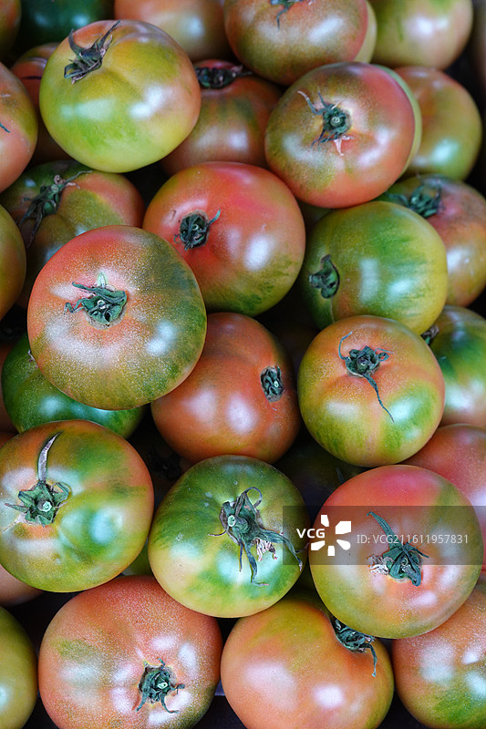 辽宁省丹东市丹东伟豪农贸市场早市新鲜蔬菜水果：东港铁皮柿子西红柿番茄图片素材