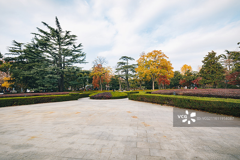 江苏省苏州市姑苏区  秋冬节气下的苏州公园图景图片素材