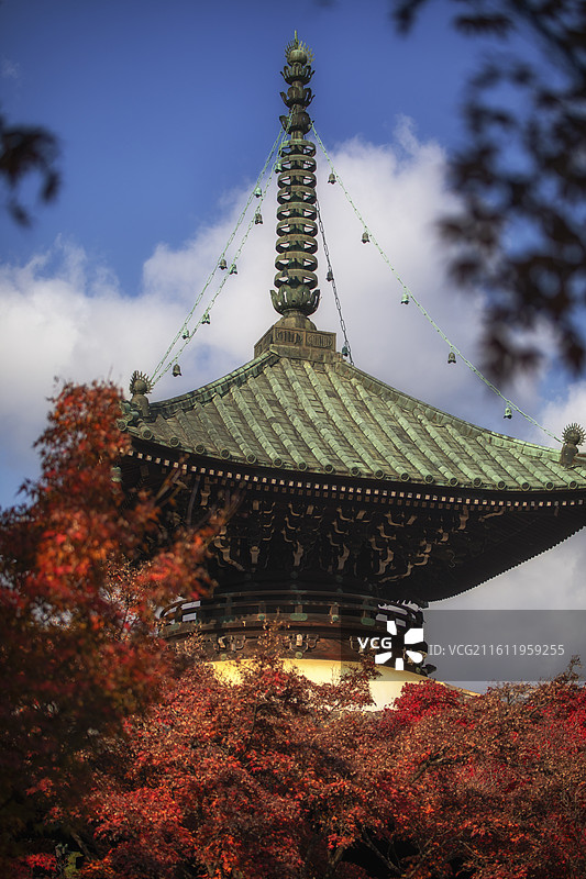 日本京都清凉寺的秋季风光图片素材