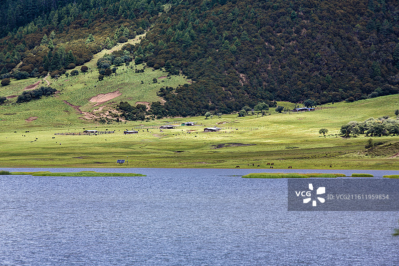 中国云南省迪庆藏族自治州香格里拉普达措国家公园风光图片素材