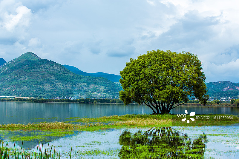 中国云南省丽江市拉市海湿地公园风光图片素材