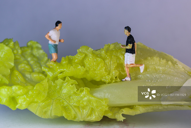 食玩模型图片素材