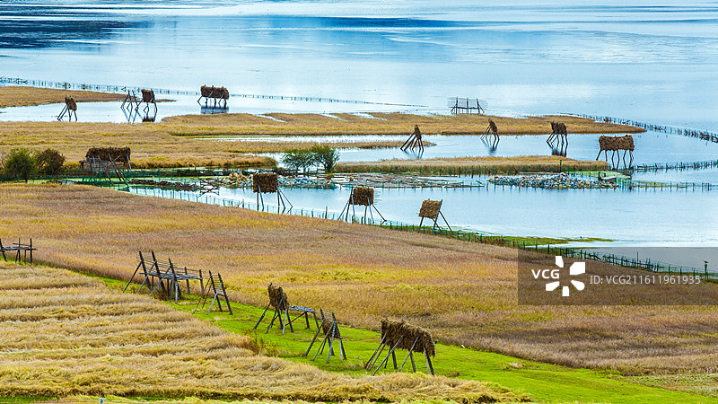 中国云南省迪庆藏族自治州香格里拉县纳帕海自然保护区图片素材